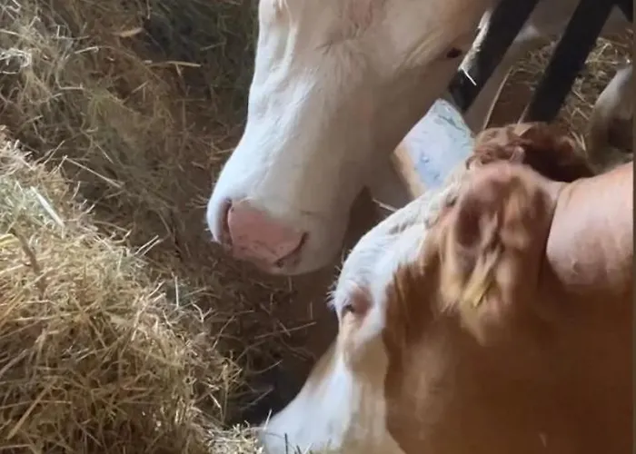 Muensterblick * Wolframs-Eschenbach